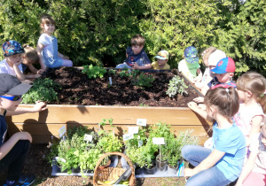 grupa pięciolatków przy swoim ogródku